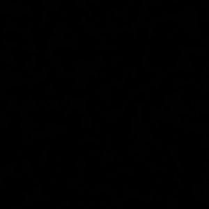 Meet your Posher, Nina